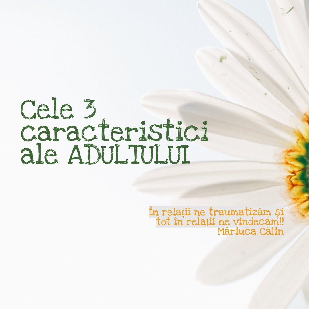 Cele 3 caracteristici ale ADULTULUI